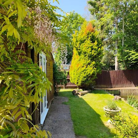 Woodies Peasmarsh Экстерьер фото